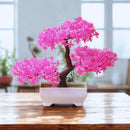 Bonsai Artificial Decorativo em Vaso - Jardinista