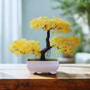 Bonsai Artificial Decorativo em Vaso - Jardinista