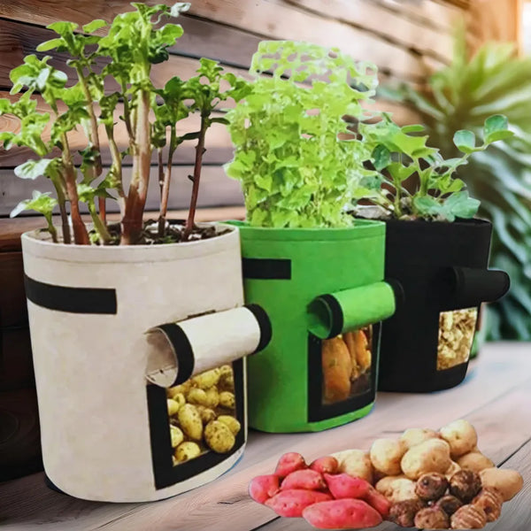 Saco de Plantio em Feltro para Tubérculos - Loja do Jardinista