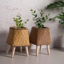 Suporte Moderno para Vasos Pequenos - Jardinista