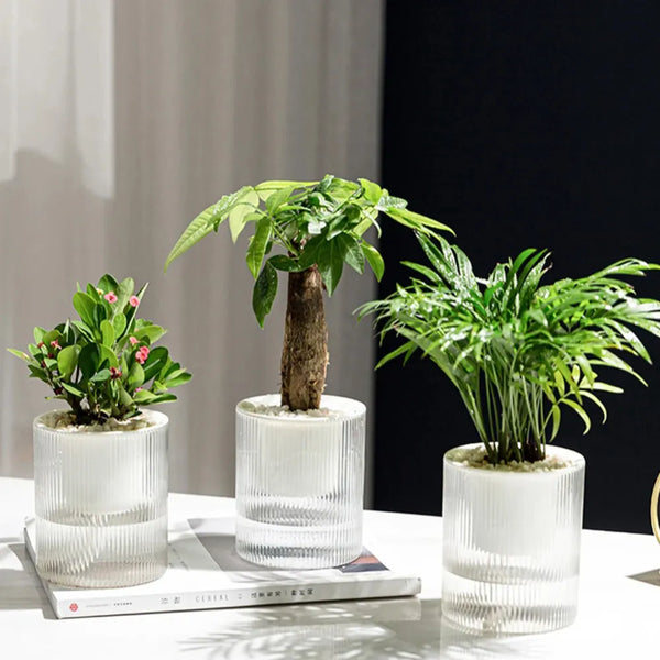 Vaso Autoirrigável - Loja do Jardinista