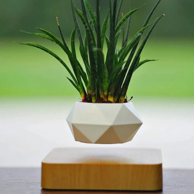 Vaso Flutuante Magnético – Levitando e Girando 360° - Loja do Jardinista