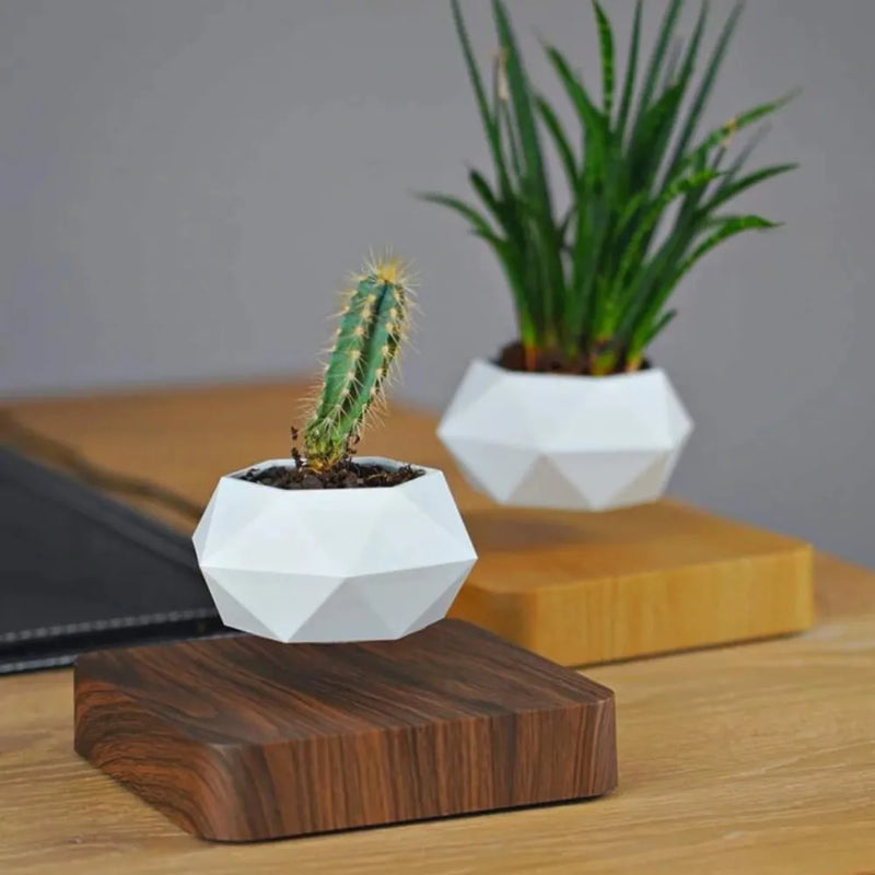 Vaso Flutuante Magnético – Levitando e Girando 360° - Loja do Jardinista