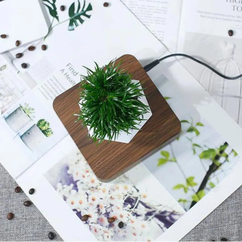 Vaso Flutuante Magnético – Levitando e Girando 360° - Loja do Jardinista