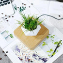 Vaso Flutuante Magnético – Levitando e Girando 360° - Loja do Jardinista