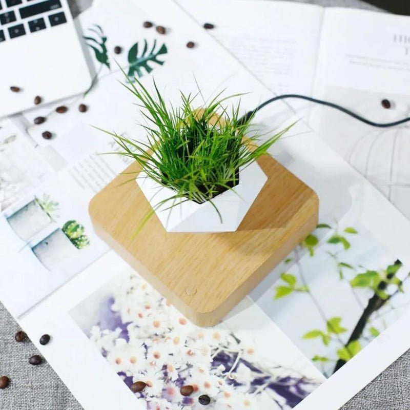 Vaso Flutuante Magnético – Levitando e Girando 360° - Loja do Jardinista