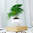 Vaso Flutuante Magnético – Levitando e Girando 360° - Loja do Jardinista