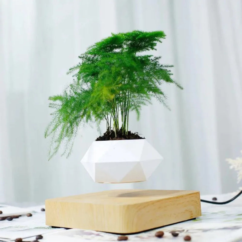 Vaso Flutuante Magnético – Levitando e Girando 360° - Loja do Jardinista