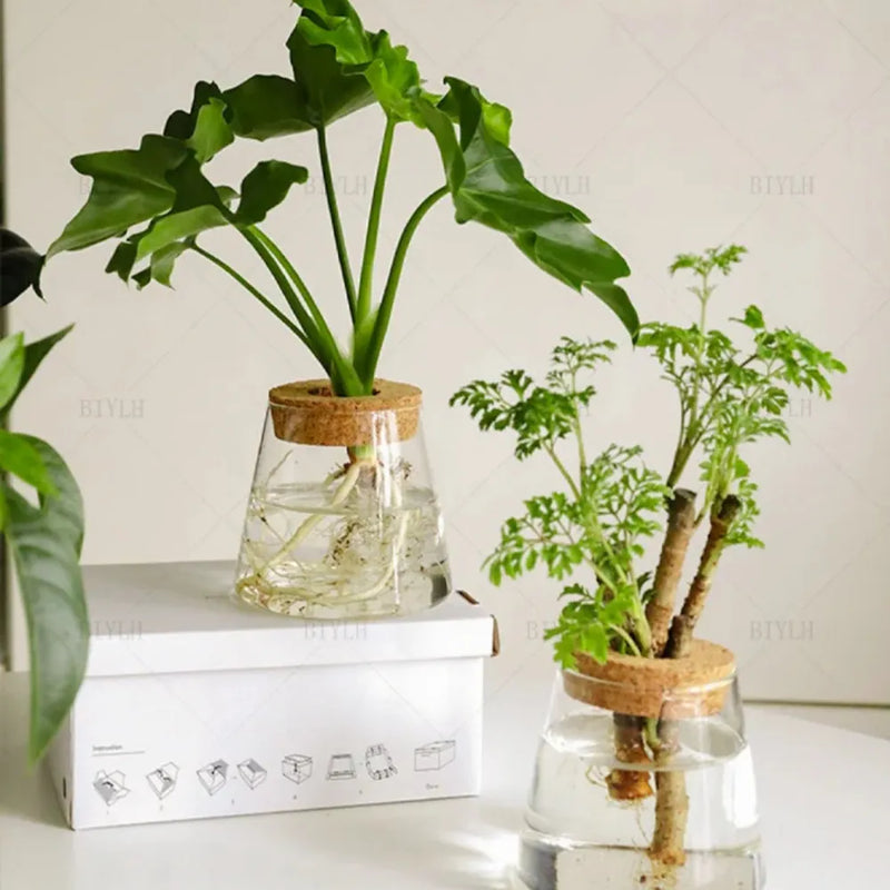 Vaso de Vidro Vulcânico – Loja do Jardinista