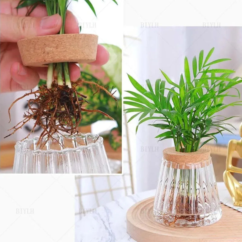 Vaso de Vidro Vulcânico – Loja do Jardinista